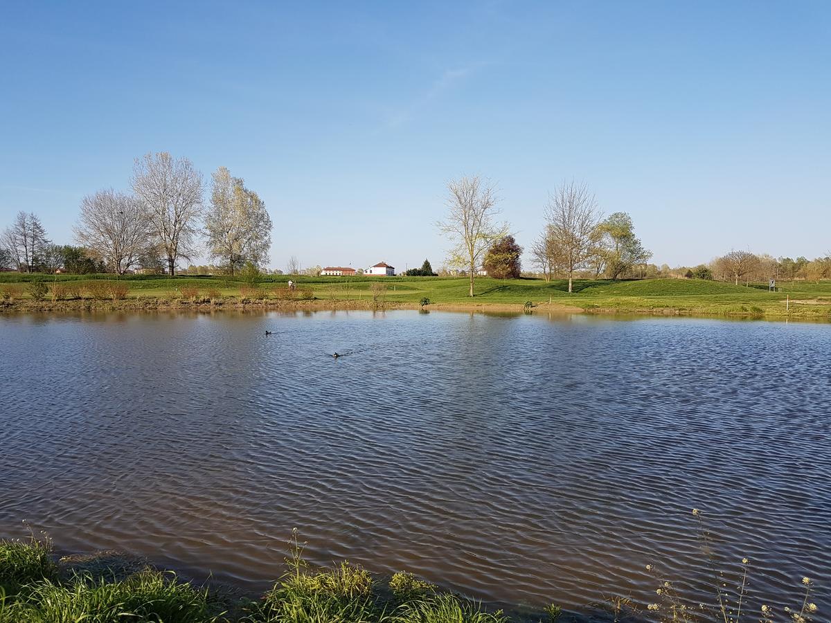Ferro Uno, Golf Citta Di 2*